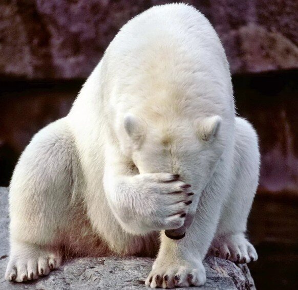 Это я, после просмотра видео с места событий.