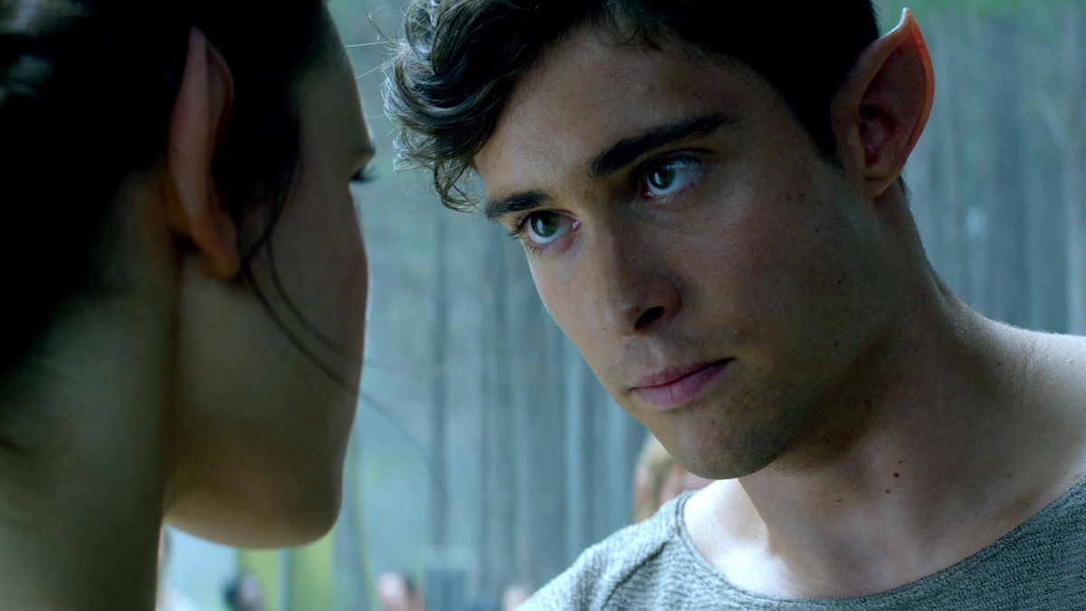 Кстати, нафига им эти уши сдались и кто за них платит и почему, я так и не понял...