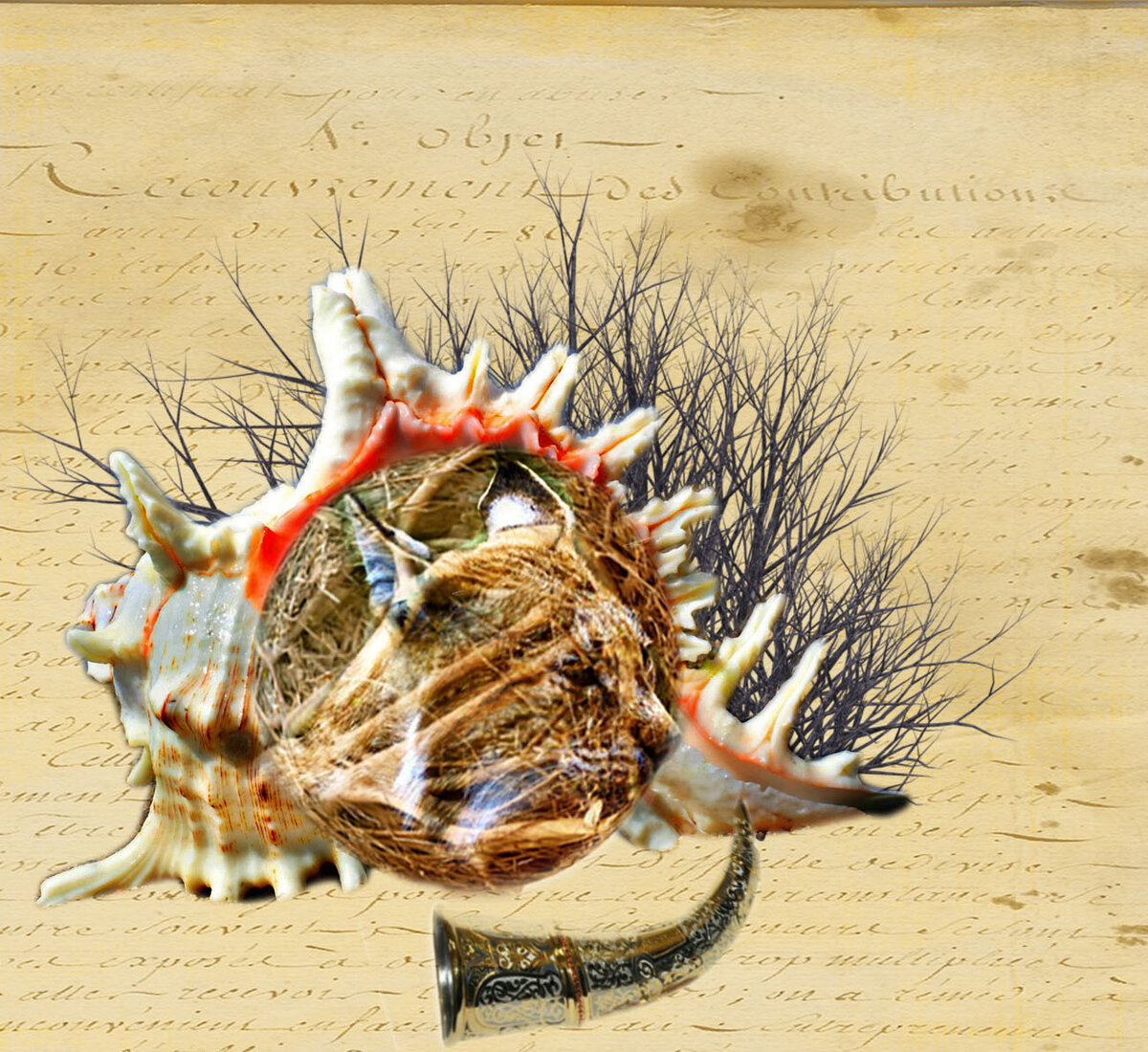 Оформление автора.