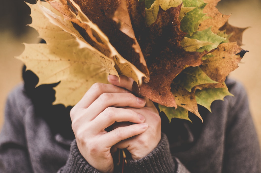 Источник фото: unsplash.com