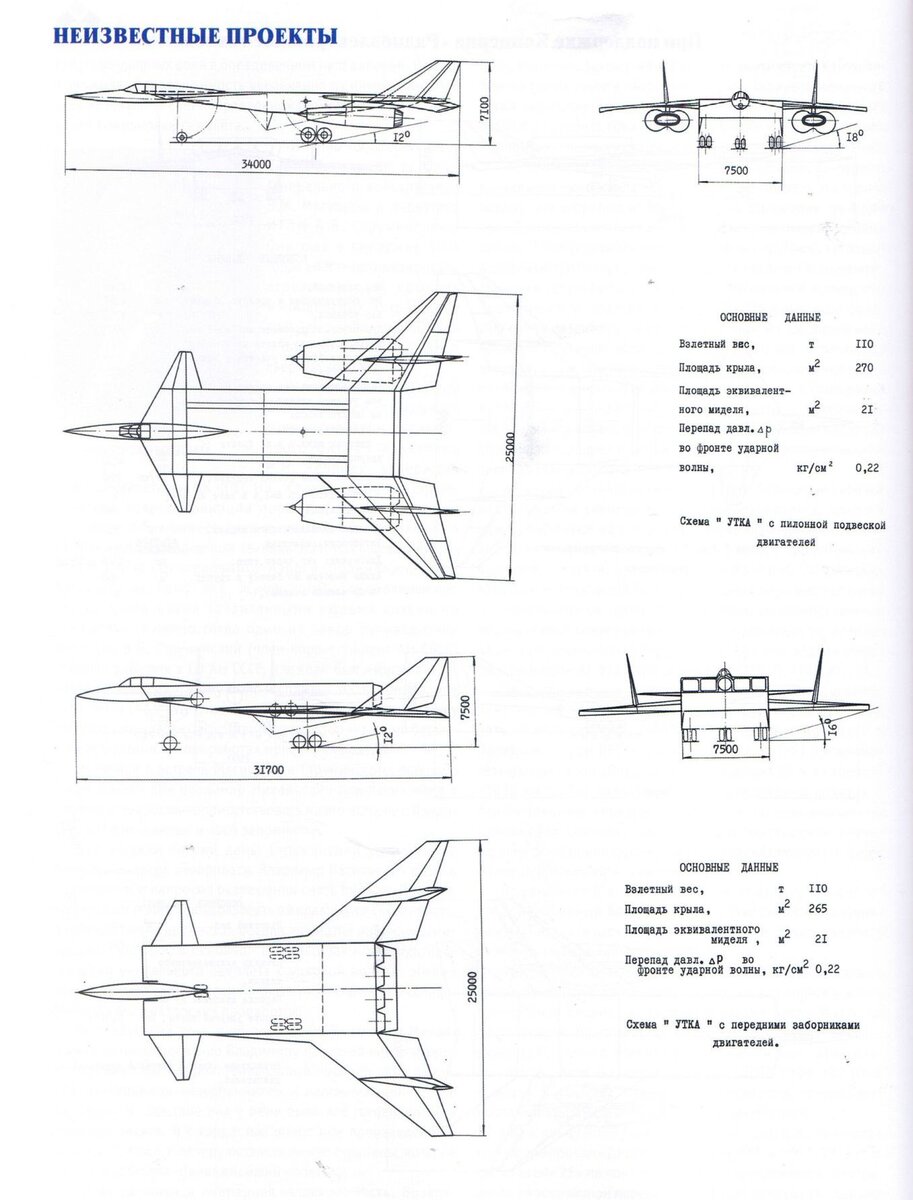 Проект "противокитайского" самолета-штурмовика специального назначения М-25 "Адский косильщик" ОКБ Мясищева