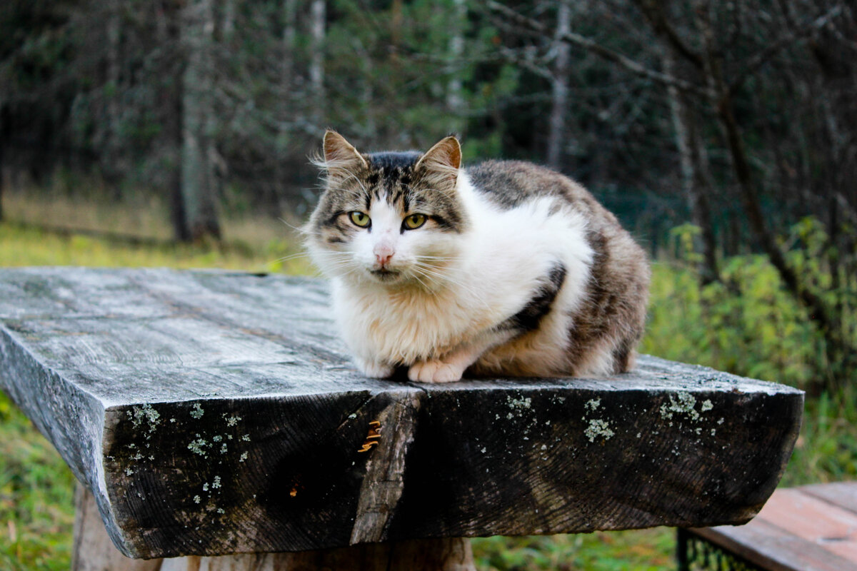 Фото: Инна Юдина