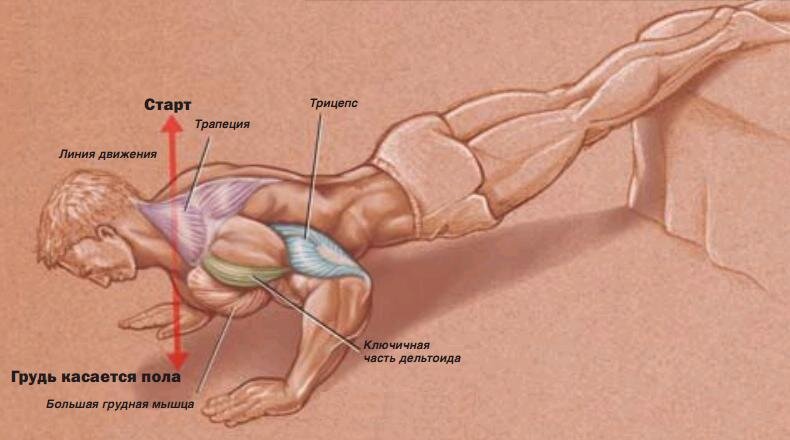 Подтяжка груди в домашних условиях - Coolaser Clinic