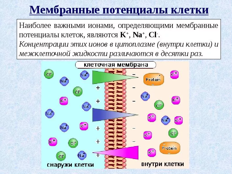 Волевая гимнастика от академика Микулина. На 3 минуты! Самая невидимая ...