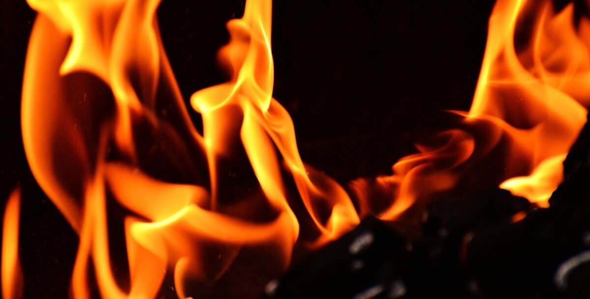 Фото: pixabay.com