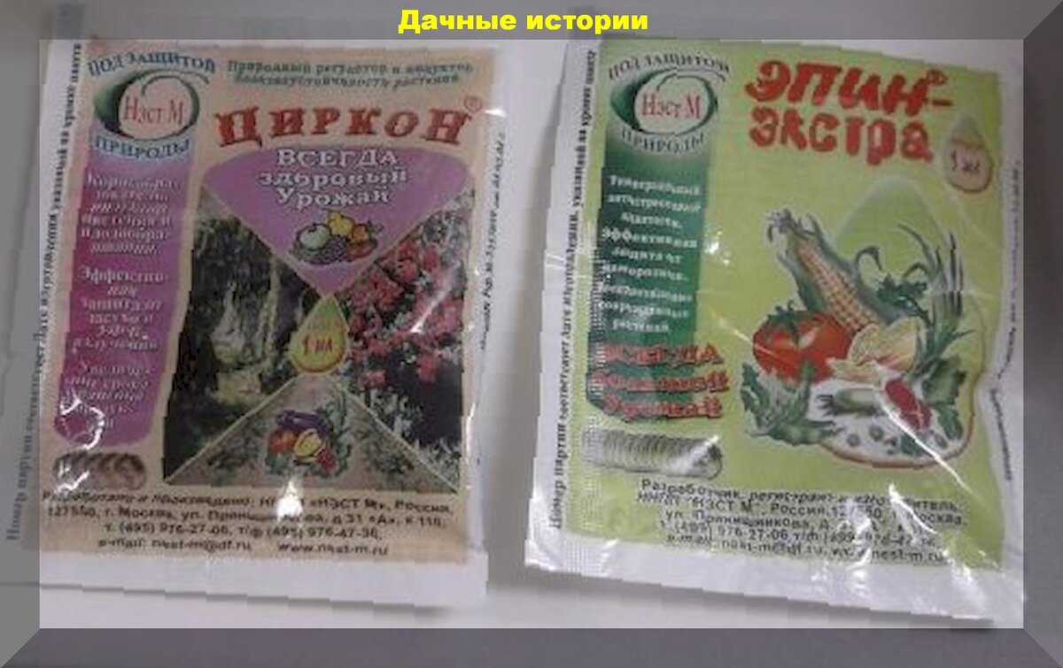 Циркон для замачивания семян. Эпин или циркон. Раствор эпина для замачивания семян