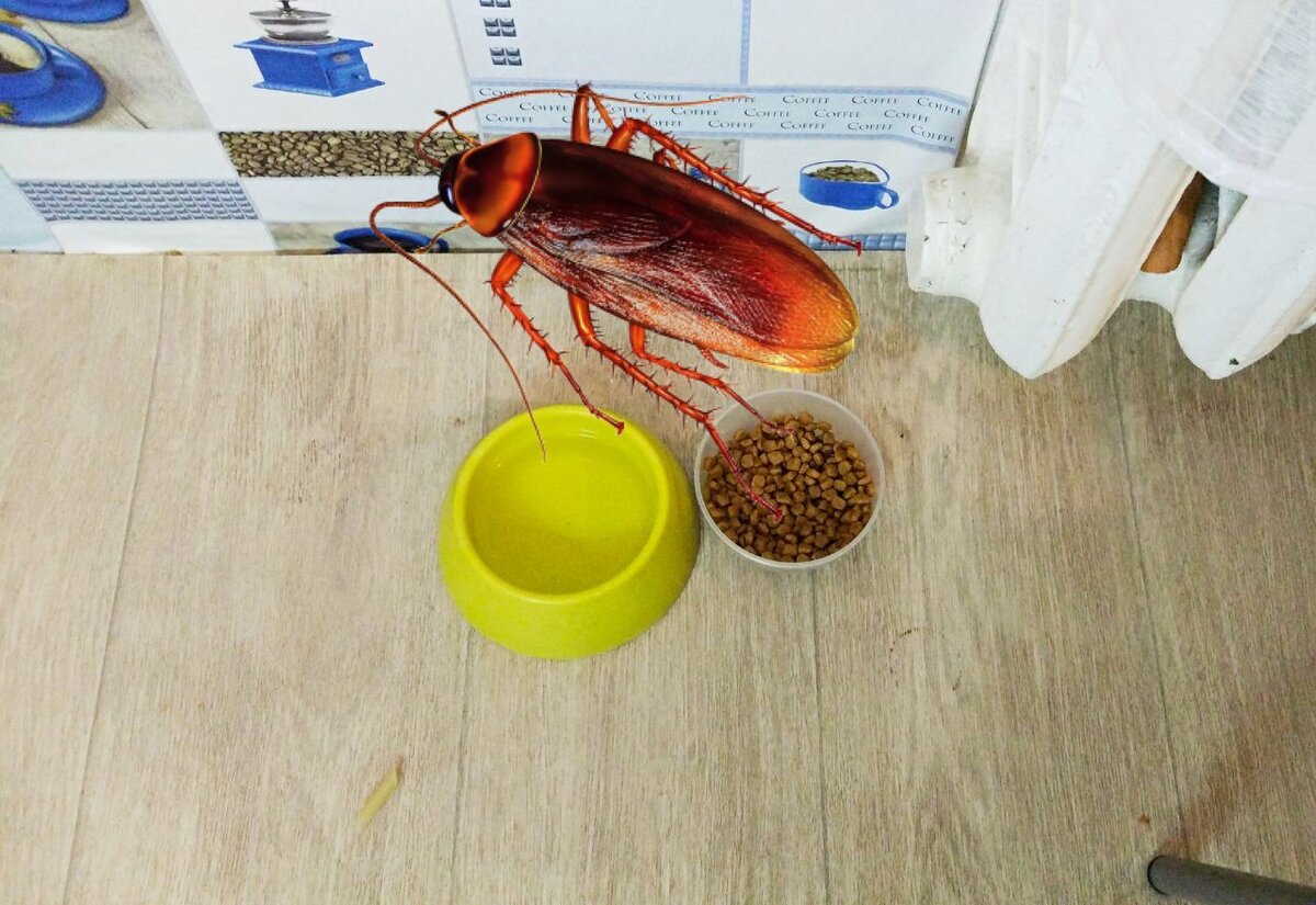 Кошачья еда с тараканами