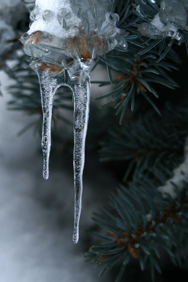 photosight.ru. Фото: Irina)