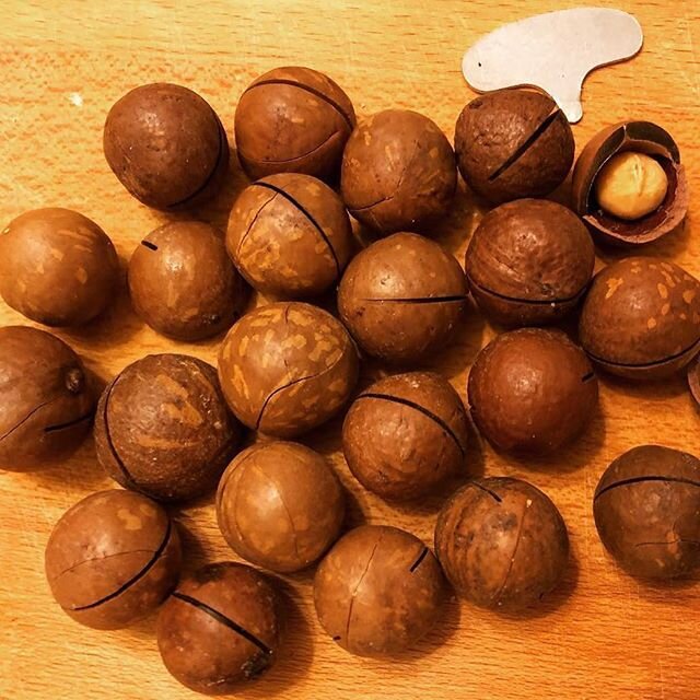 золотой орех. золотой орешек подольск. орехи с предсказаниями. орехи в набережных челнах. фундук из золота.