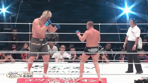 Федор Емеьяненко VS Чхве Хон Ман