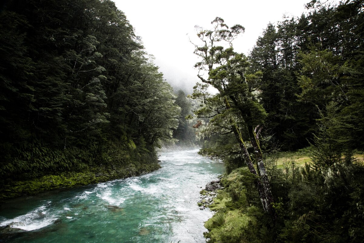Фото Evan Clark с сайта Unsplash 