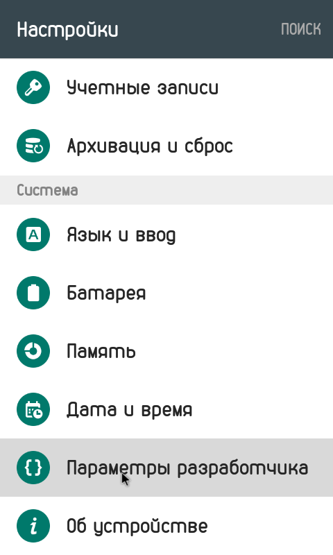 Параметры разработчика