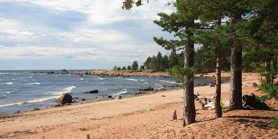 Фото из открытого источника.