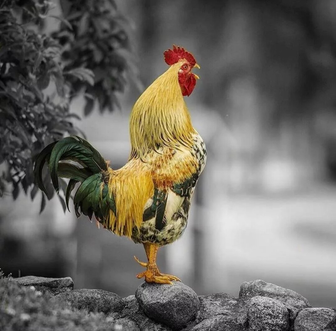 Астролог Оксана Мигно