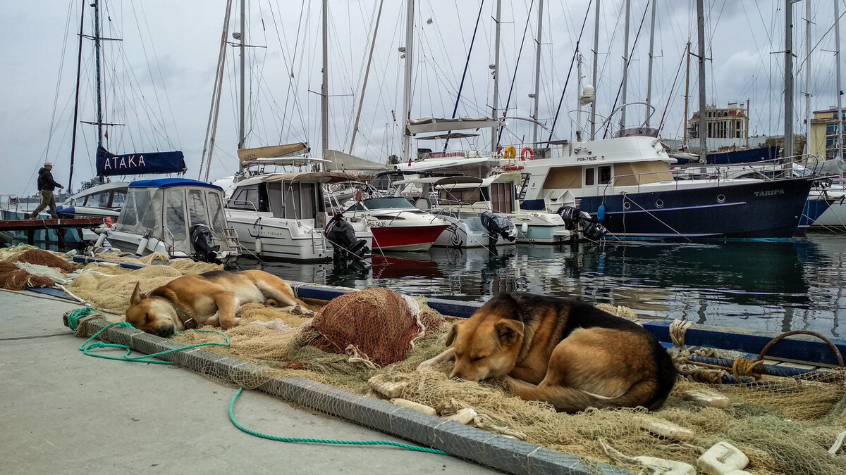 Яхт-клуб, Севастополь