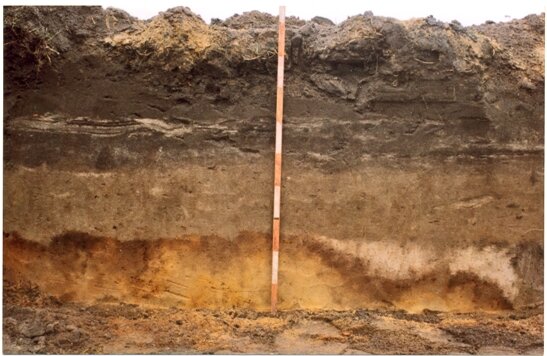 Разрез грунта