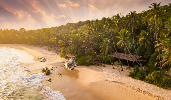 Пляж. Шри-Ланка.