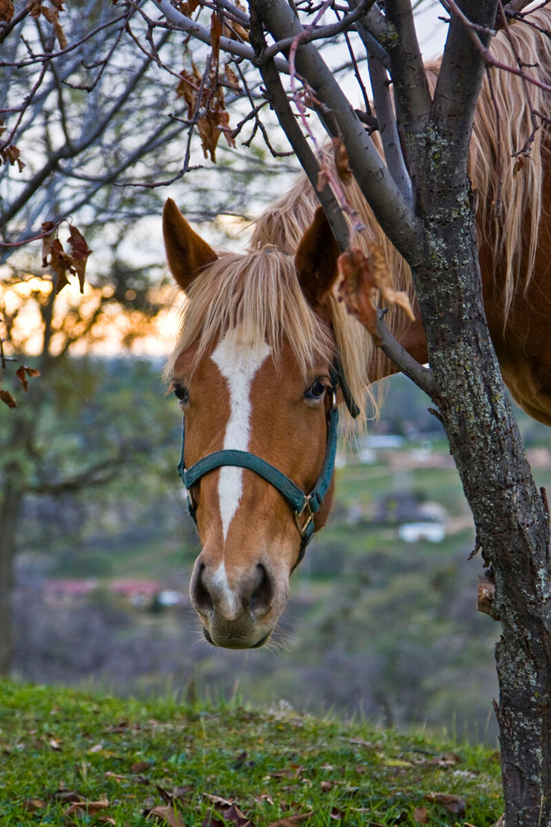 источник https://cdn-nus-1.pinme.ru/photo/7b/cf/7bcff0deeaba8a5451acfb780678983b.jpg