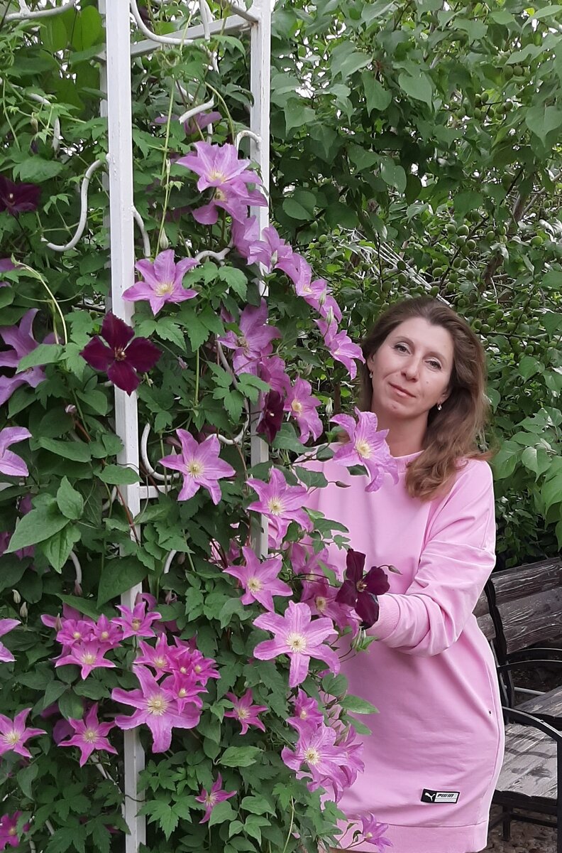 АС клематис Светлана Александровна
