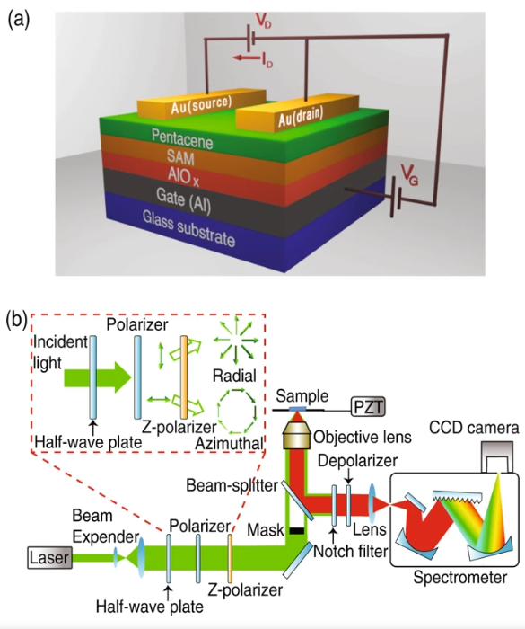 а) схема изготовленного пентаценового транзисторного устройства и b) оптическая схема для измерения методом комбинационной спектроскопии.