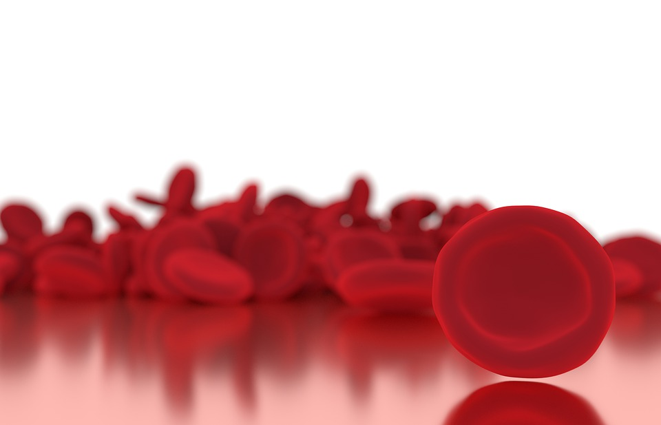 https://cdn.pixabay.com/photo/2019/06/03/16/54/blood-4249308_960_720.jpg