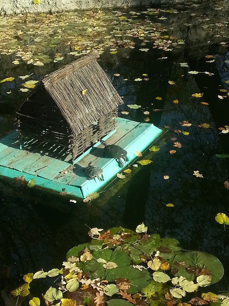 фото из личного архива