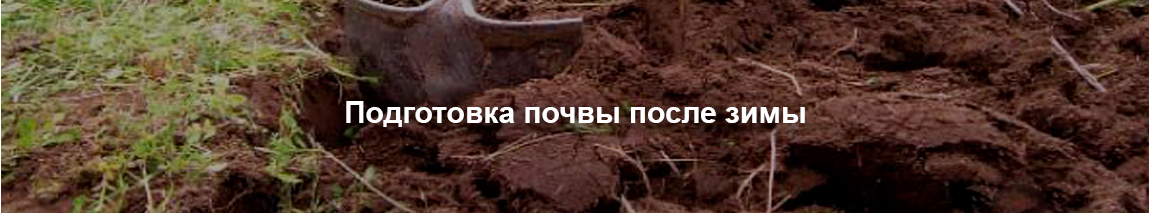 https://storage.googleapis.com/wiki-goods/media/28bf3e2d-7ecf-42ce-bfee-b2ef140d8d51.png