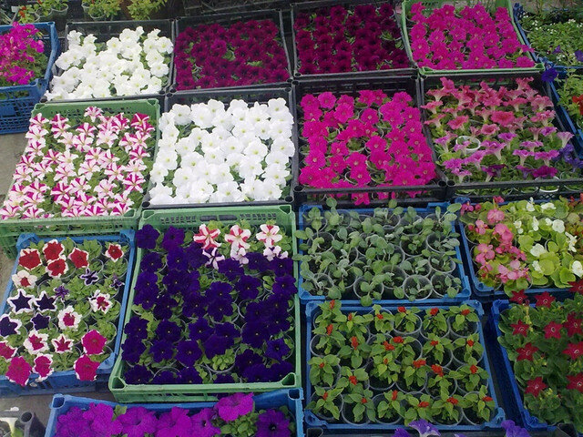 Источник Яндекс. Картинки 