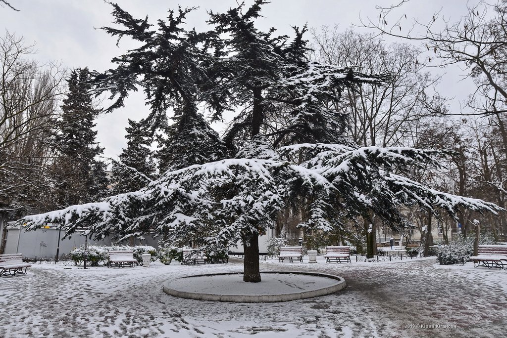 фото с сайта: photocrimea.com    Автор фото: Юрий Югансон