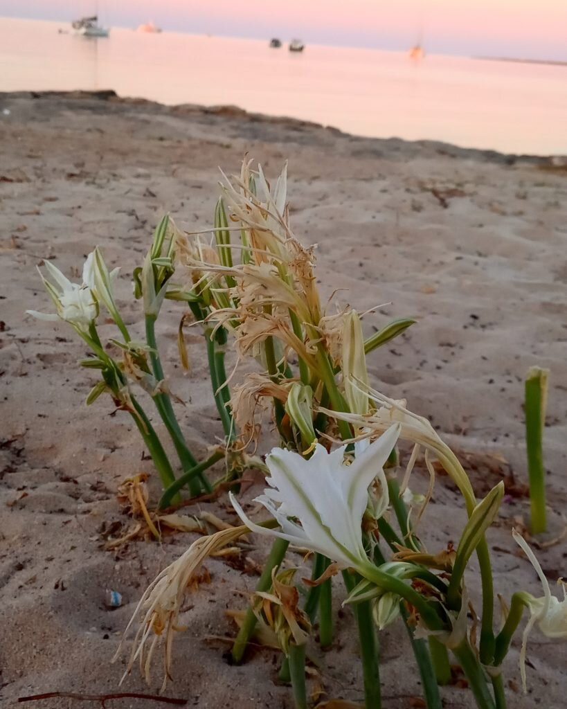 Я убеждена только в двух вещах.
1. Все мы здесь для эволюции.
2. В процессе мы должны получать удовольствие.
