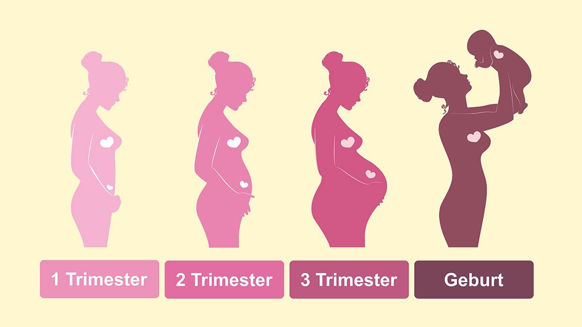 Фото из  интернета