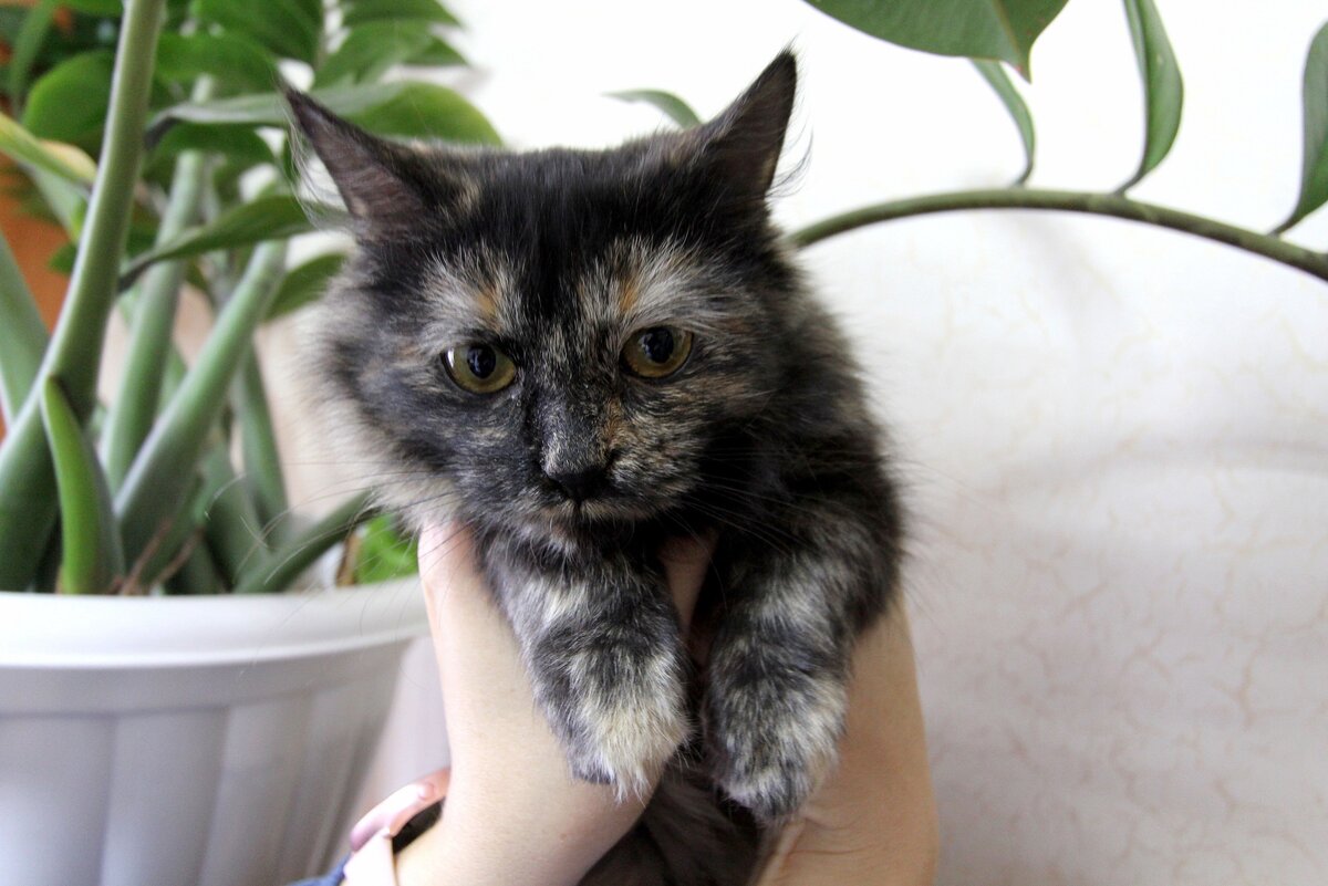 (Фото из интернета)