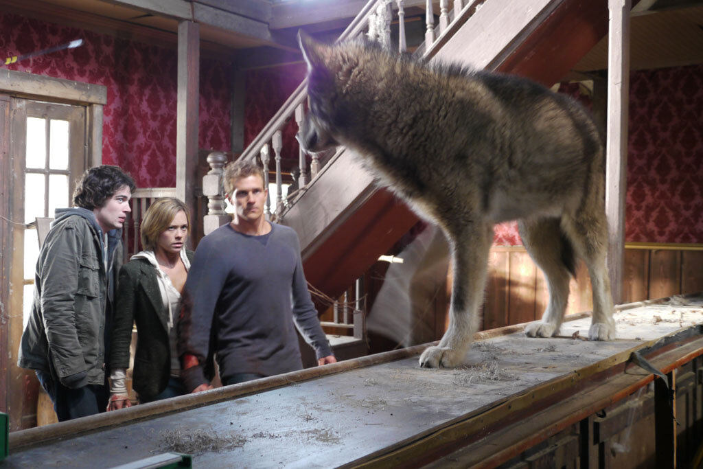 Город Волков 2011. Город Волков / Wolf Town (2011). Город Волков фильм 2010. Город Волков фильм 2011 кадры.