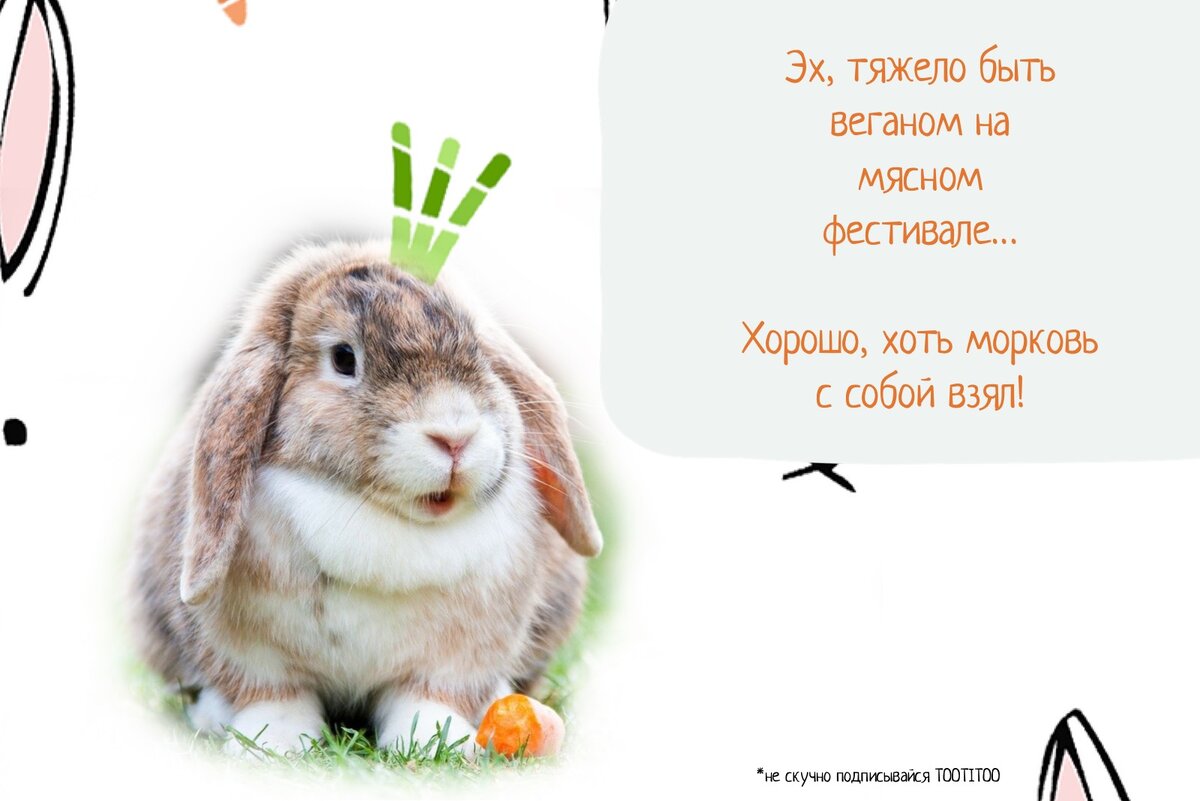 При подготовке картинки использовались фото из фотостока