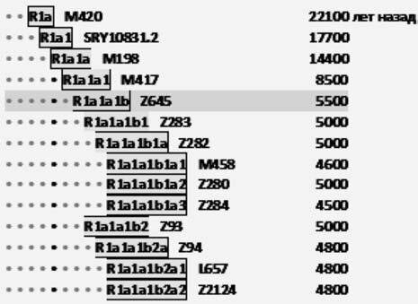 (фото с яндекс картинки)