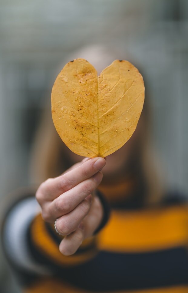 https://unsplash.com/photos/USAajO7cZgc
