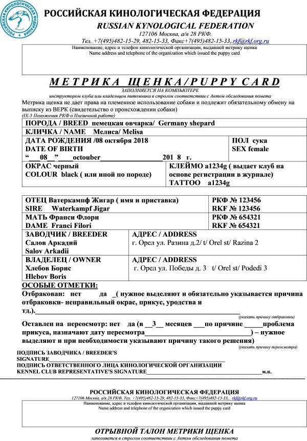 Как выглядят документы на собаку Мошенники - разводят собак и людей! По душам Дзен