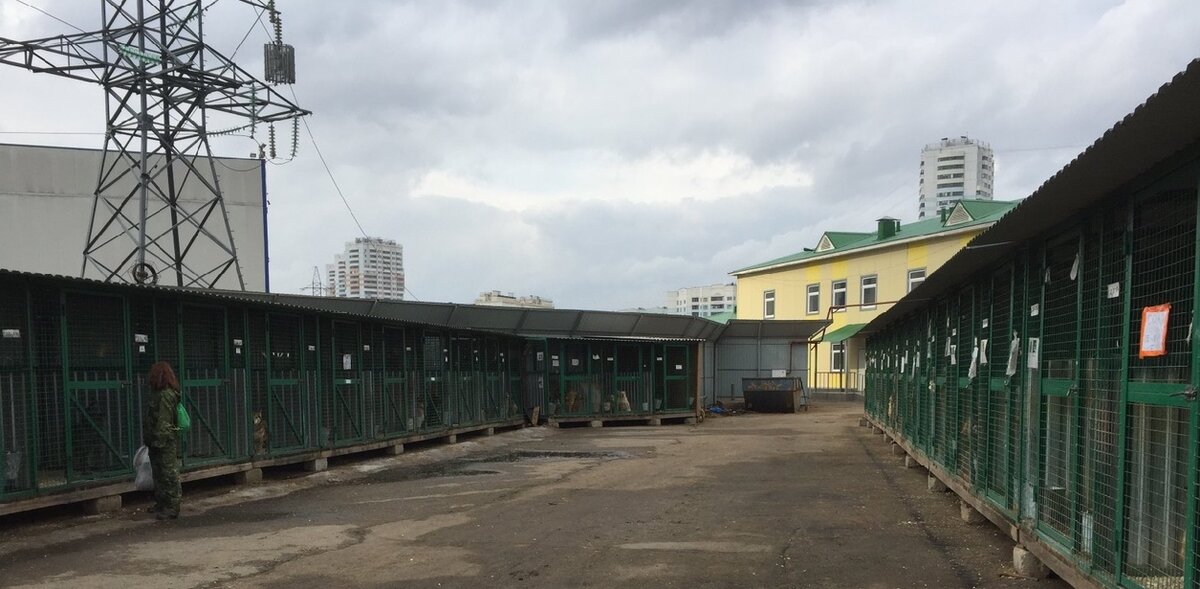 Муниципальный приют Щербинка.