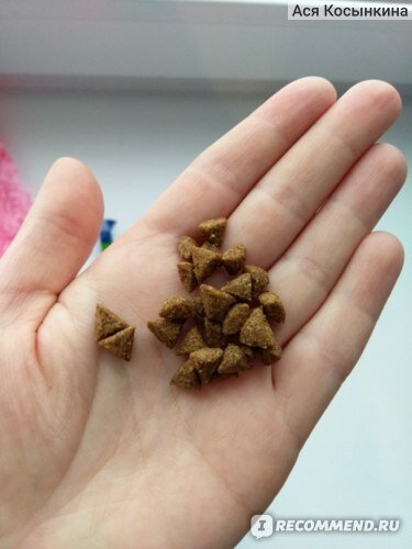 Корм для кошек Brit Premium Cat Sterilised - отзыв. Фото автора.