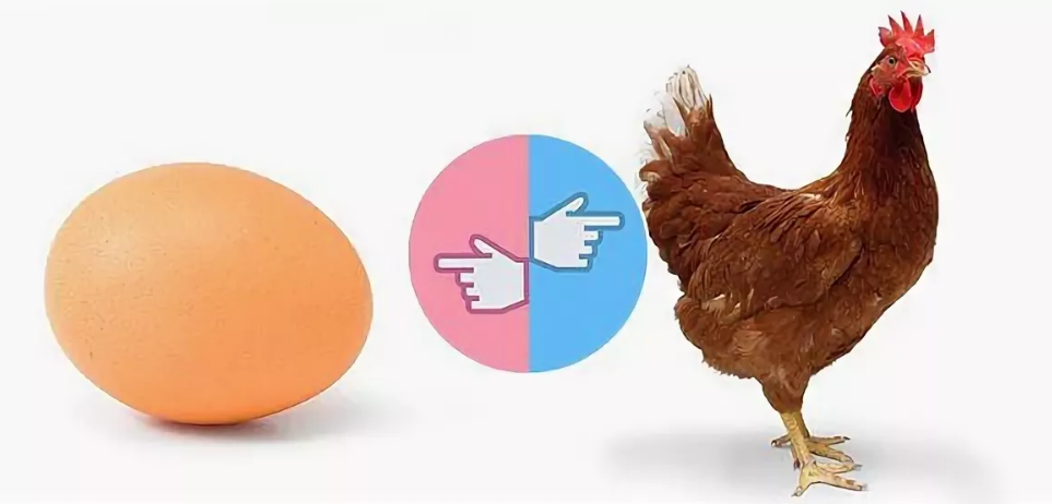 Что появилось первее курица. Парадокс курицы и яйца. Курица или яйцо. Проблема курицы и яйца. Рисунок что появилось раньше яйцо или курица.