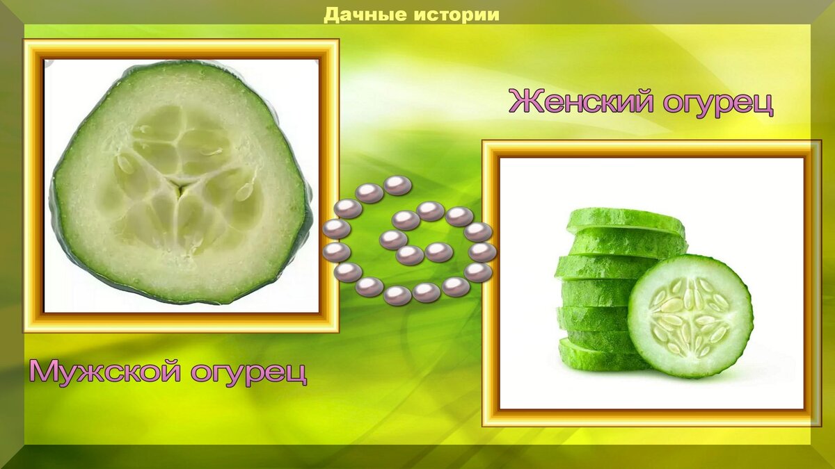 https://vk.com/photo-159774511_457243523