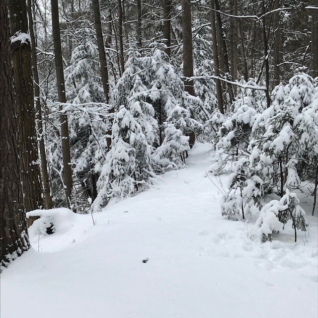 Чувствуешь себя Сусаниным