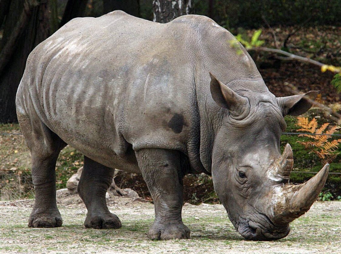 Сила и красота.