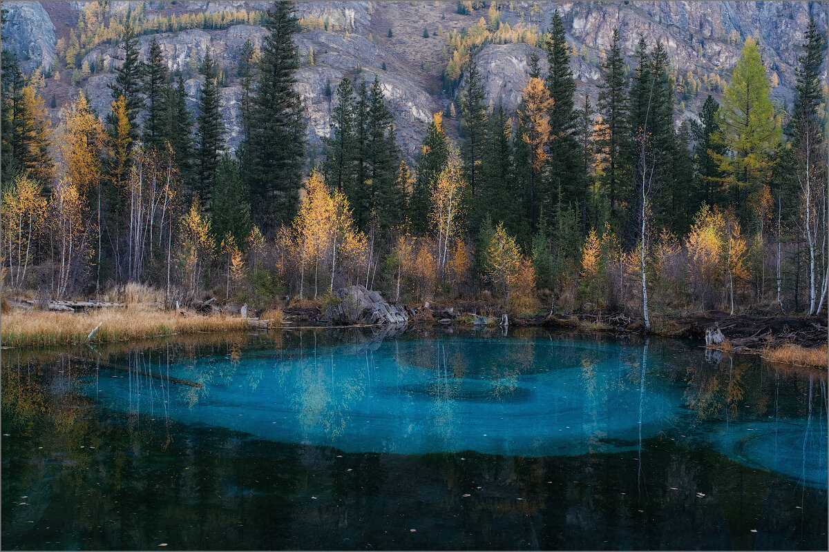 13 великолепных фотографий загадочного Алтая | Российское фото | Природа |  Дзен