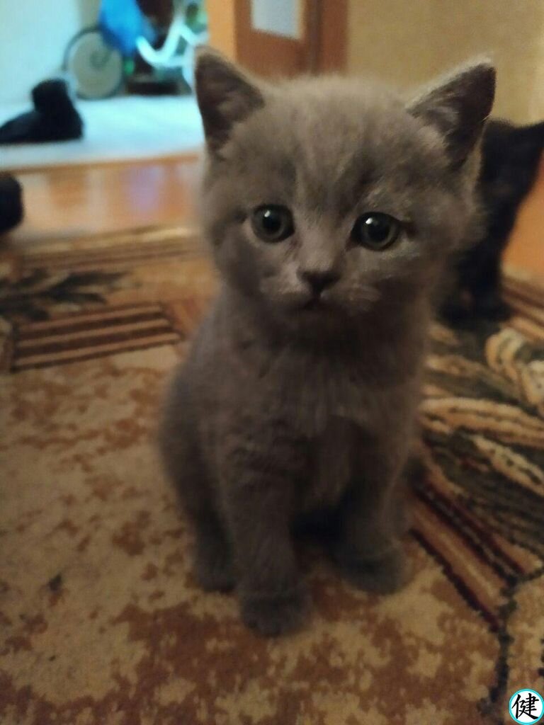 фото из личного архива