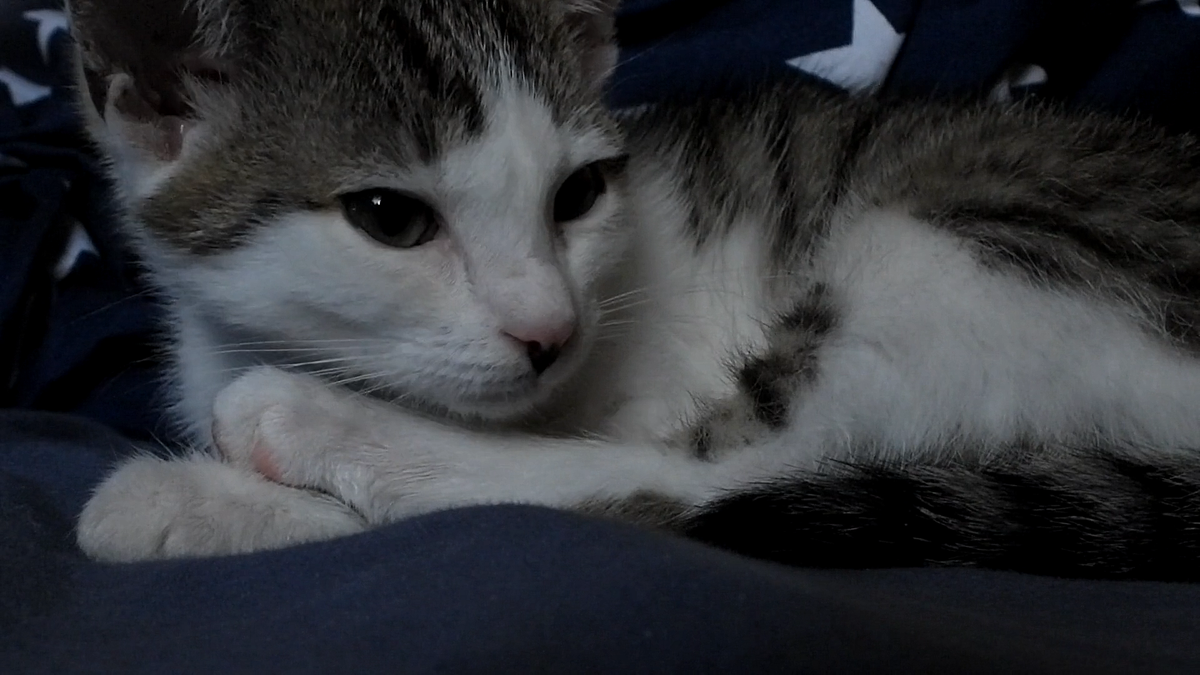 Да, я такой!