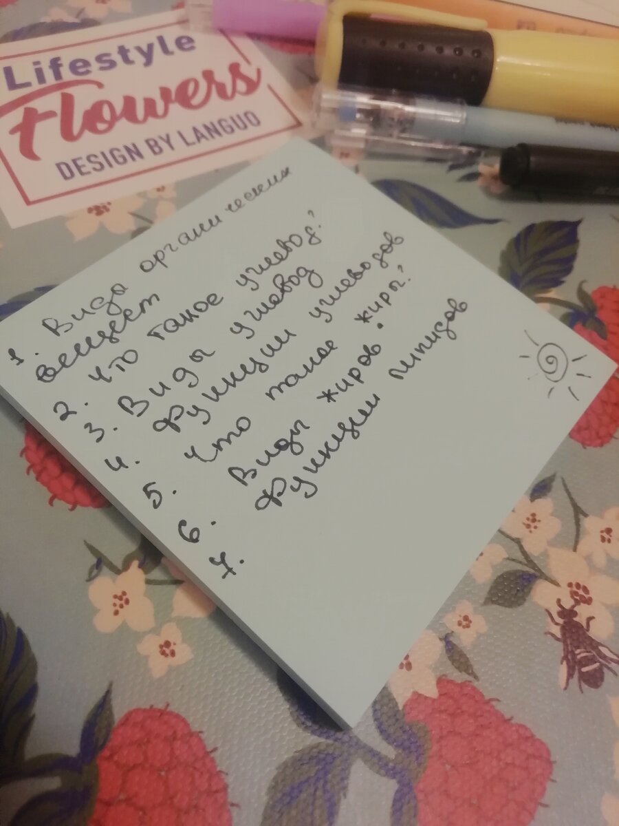 пример моего плана )