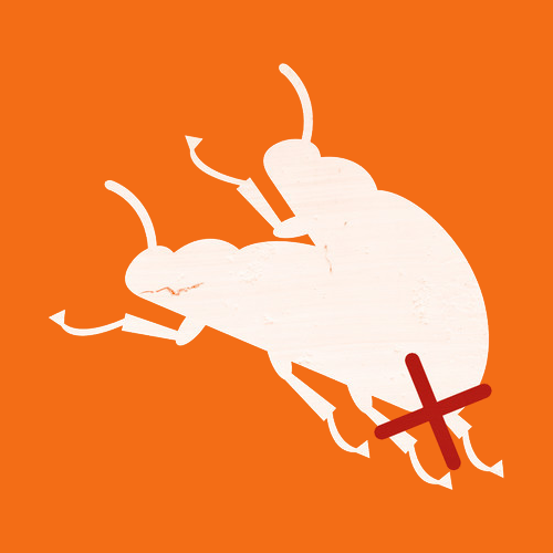 Источник изображения: https://soundcloud.com