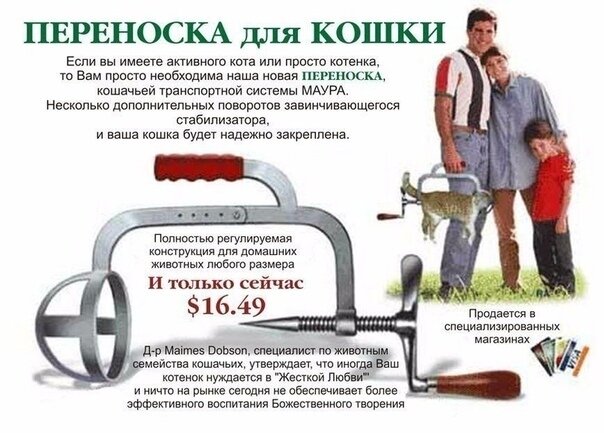 Телефон +7 964 295 56 78 