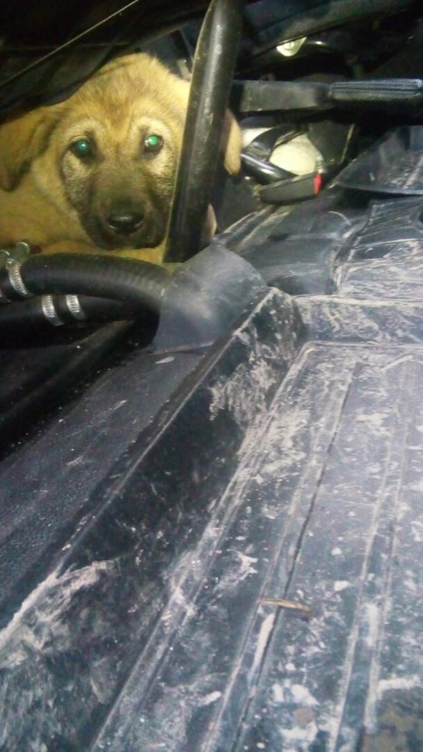 Фотография из личного архива